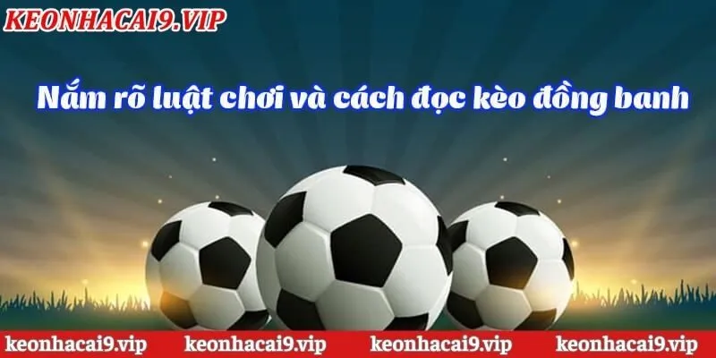 Những kinh nghiệm đáng giá của chuyên gia trong kèo nhà cái chấp đồng banh